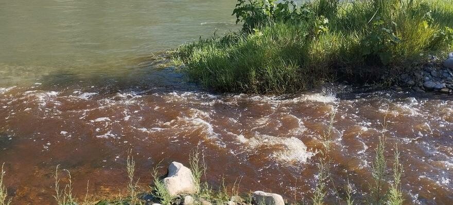 Ils denoncent les rejets de La Montananesa dans le fleuve