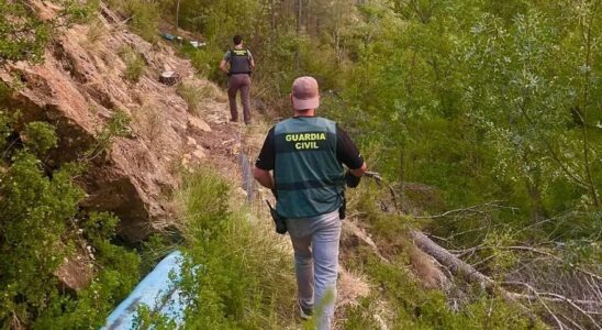 La personne arretee a Castellote pour plantation de marijuana entre