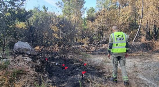 Lauteur presume de plusieurs incendies de foret a Vilamarin Ourense