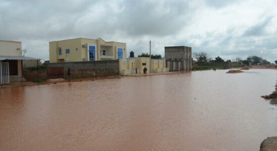 Le bilan des inondations au Niger atteint desormais 217 morts