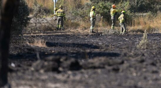 Les forets espagnoles brulent 44 de moins cet ete