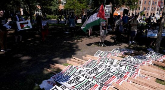 Les manifestations contre la guerre a Gaza menacent les democrates