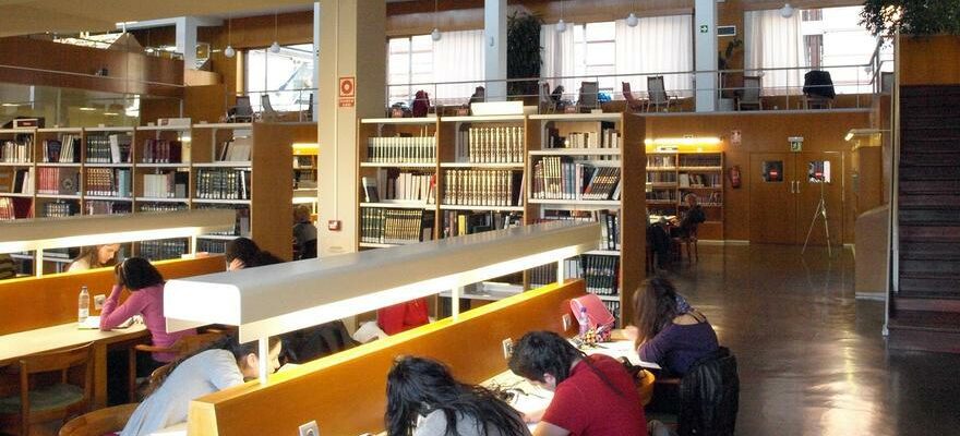 Les prets de livres dans les bibliotheques de Saragosse augmentent