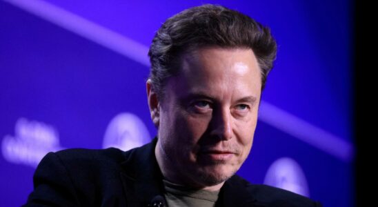 Musk propose a Trump de travailler dans son gouvernement sil