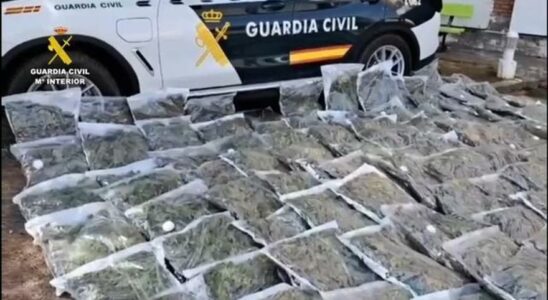 Operation de la Garde civile contre la culture de marijuana