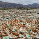 POLLUTION PLASTIQUE Traite mondial contre le plastique tous