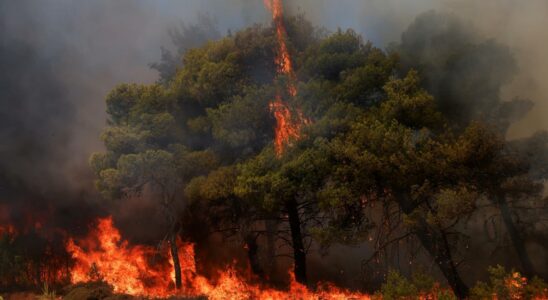 Plus de 35 000 personnes evacuees par un vaste incendie