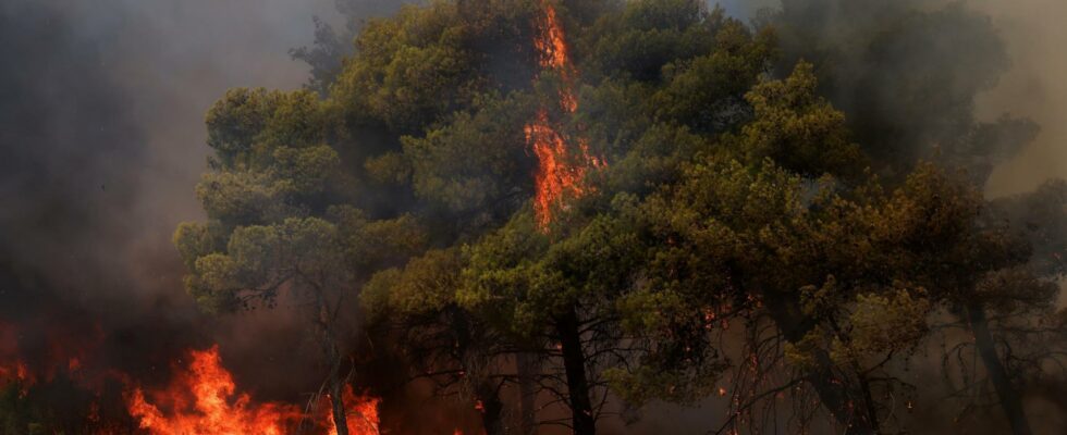 Plus de 35 000 personnes evacuees par un vaste incendie