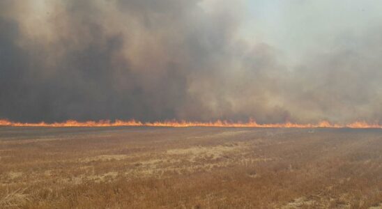 Un incendie a Farasdues qui a touche environ cinq hectares