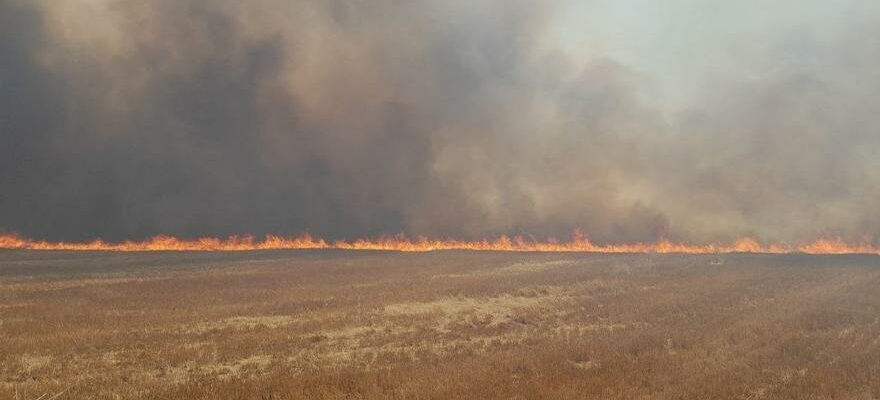 Un incendie a Farasdues qui a touche environ cinq hectares