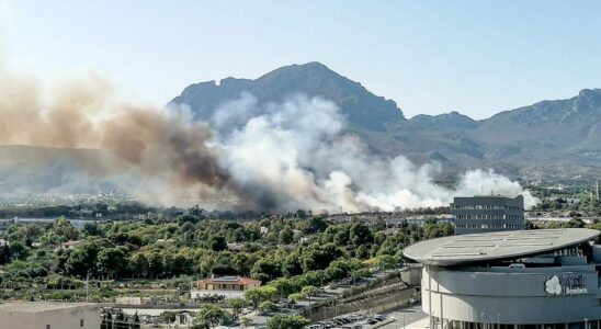 Un incendie de foret a Benidorm oblige a couper lAP 7