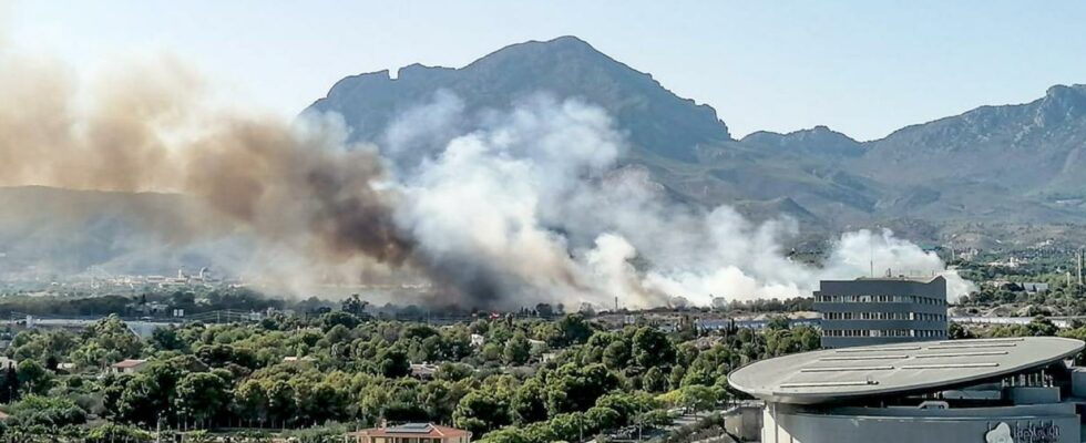 Un incendie de foret a Benidorm oblige a couper lAP 7