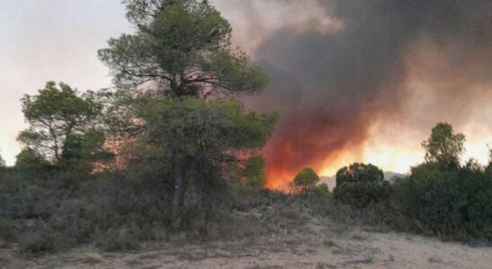 Un incendie de foret declare dans le desert de Calanda