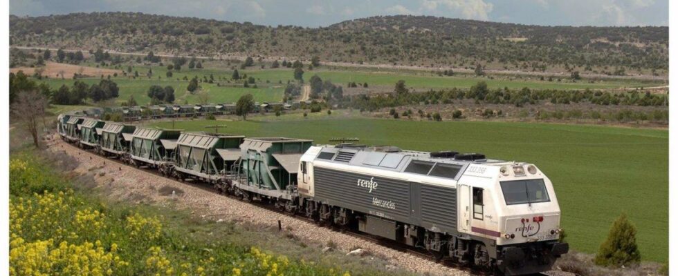 Un train de marchandises deraille a Madrid et provoque des