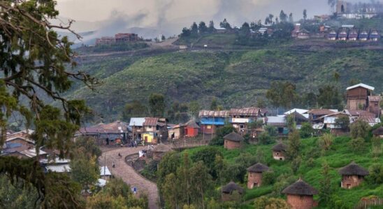 Un travailleur humanitaire assassine en Ethiopie