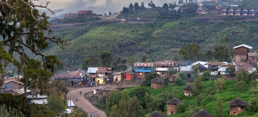 Un travailleur humanitaire assassine en Ethiopie