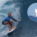 Une baleine fait des ravages en demi finale de surf et