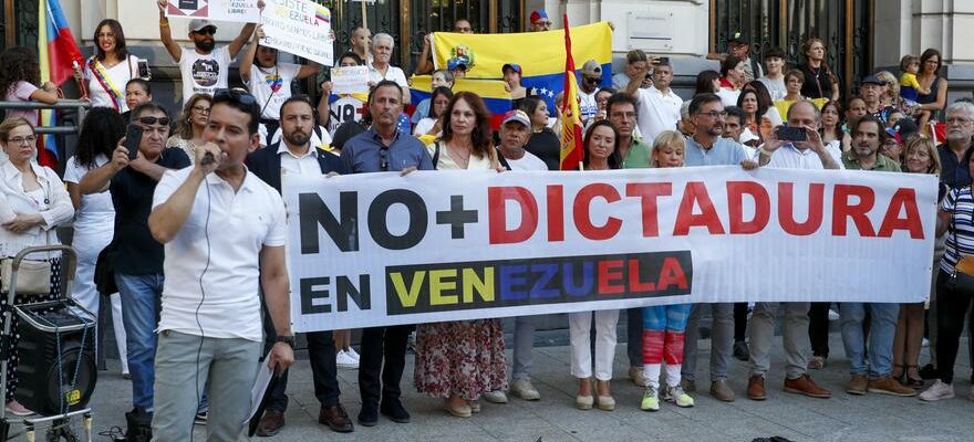 VENEZUELA DEMONSTRATION DE SARAGOSSE Des dizaines de Venezueliens demandent