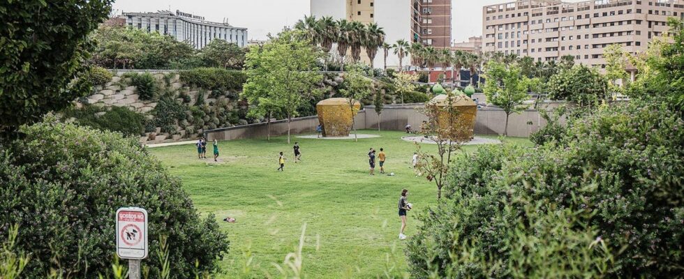 Valence plantera 2 000 arbres dans differentes parties de la