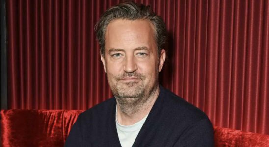 le complot qui a pousse Matthew Perry a mort