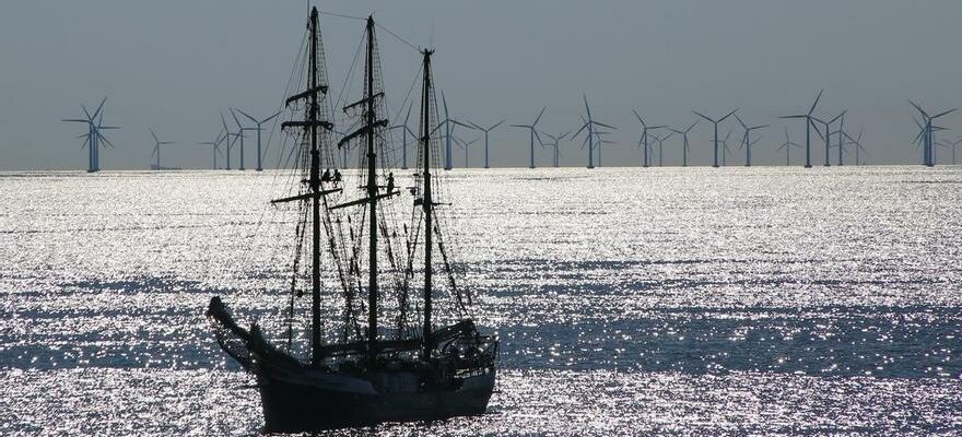 90 des zones choisies pour les parcs eoliens offshore