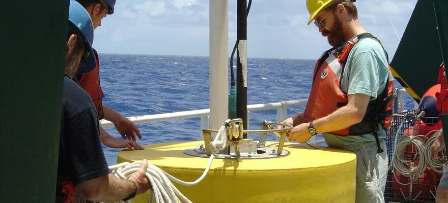 LE FER DANS LES OCEANS Fertiliser les oceans avec