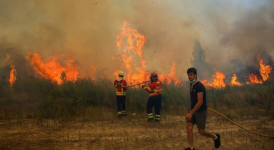 LUE leur vient en aide pour tenter deteindre les 36