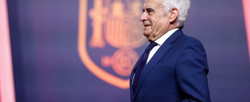 La RFEF convoque des elections partielles pour la presidence apres