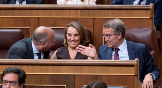 Le Congres approuve avec un vote contre le PSOE la