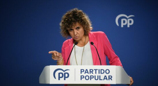 Le PP denoncera a lUE le projet du gouvernement Sanchez