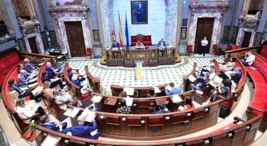 Le PP le PSOE Vox et Compromis votent ensemble pour