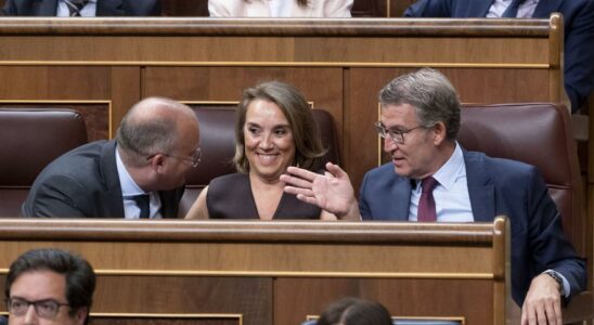 Le PP presente au Congres une loi de conciliation avec