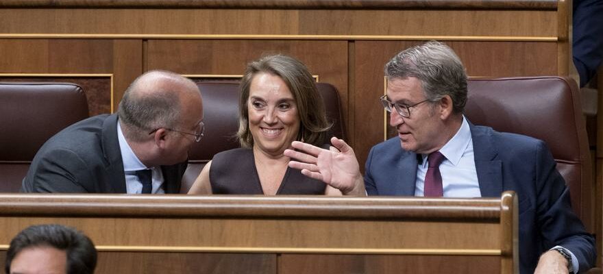 Le PP presente au Congres une loi de conciliation avec