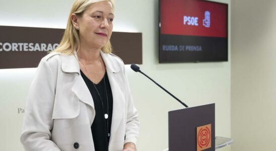 Le PSOE exige dAzcon un plan strategique pour renforcer lindustrie