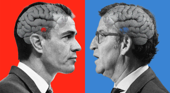 Le cerveau des electeurs de Pedro Sanchez et Alberto Nunez