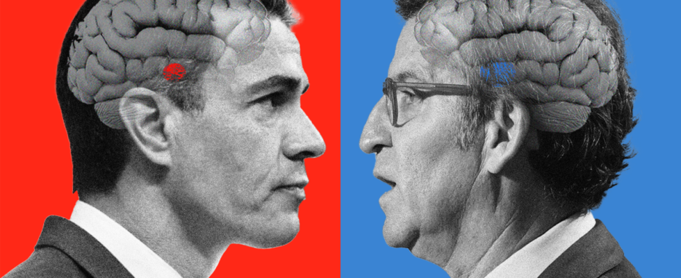 Le cerveau des electeurs de Pedro Sanchez et Alberto Nunez