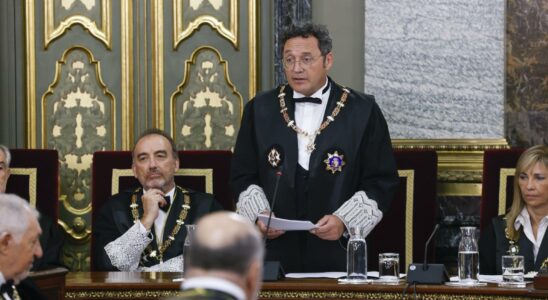 Le procureur met en avant devant le TS la lutte