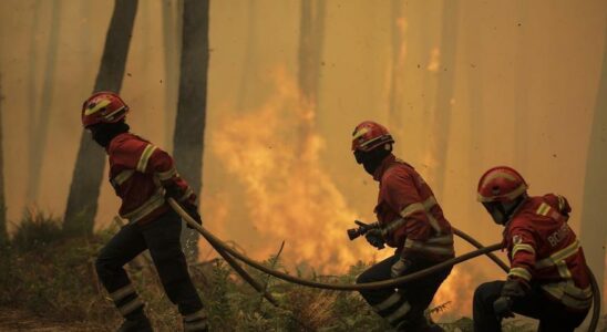 Les incendies au Portugal font rage a Aveiro avec trois