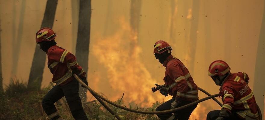 Les incendies au Portugal font rage a Aveiro avec trois