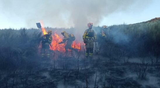 Lincendie de Muinos Ourense qui a touche 623 hectares du