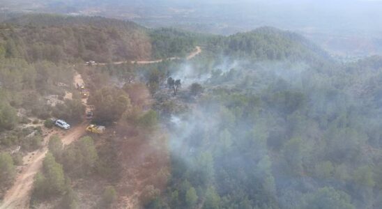 Lincendie de foret provoque par la foudre a Tramacastiel Teruel