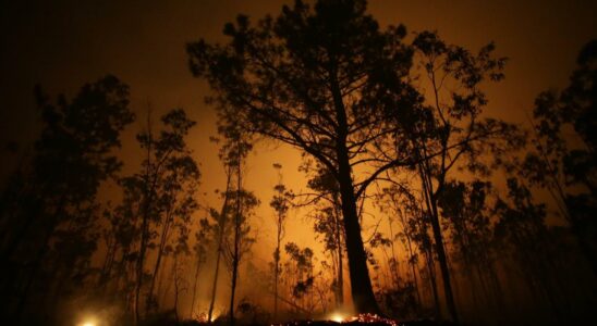 Orense et Pontevedra approchent les 400 hectares brules