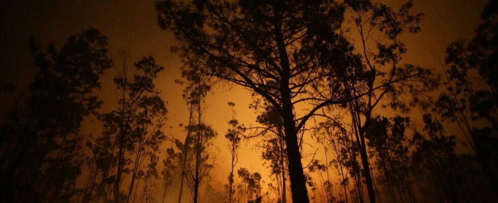 Orense et Pontevedra approchent les 400 hectares brules