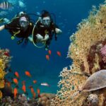 PAYS MEGADIVERS Quels sont les 17 pays megadivers