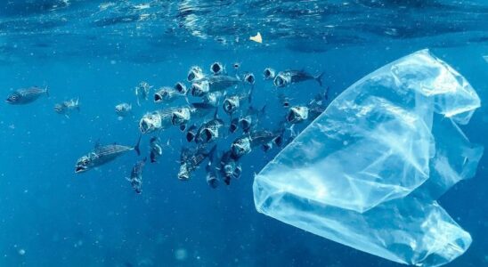 POLLUTION MICROPLASTIQUES Ils resolvent le mystere du plastique