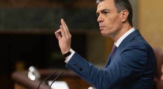 Sanchez affronte aujourdhui sa premiere seance de controle au Congres