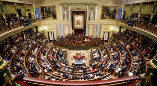 Session pleniere du Congres avec une seance de controle du