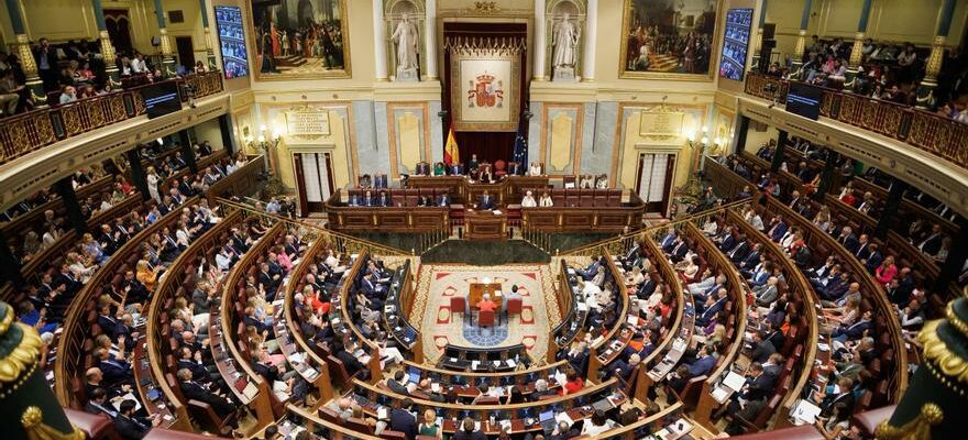 Session pleniere du Congres avec une seance de controle du