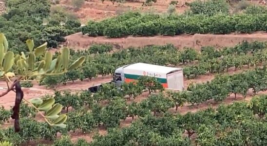 Trois morts lorsquun camion heurte une camionnette a Valence