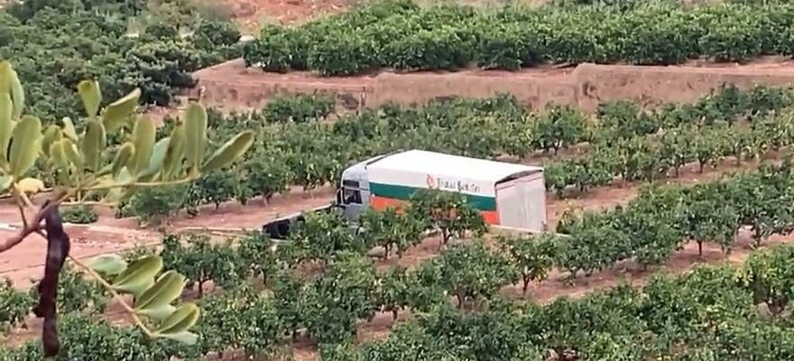 Trois morts lorsquun camion heurte une camionnette a Valence